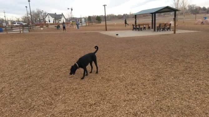 AC9h4npBVB2ScCJ9 SGOTxGy 4I3LwQ6tlYUttbPBE0WdoH KMr2velkEo0L RS 5w Hn0tt14CXr9TsbD4pDulKv2YxWEq l4AcwmlU3muDIPAkjDxPb i14pkP vuMGgknoFZmenUew1600 h1000 k no