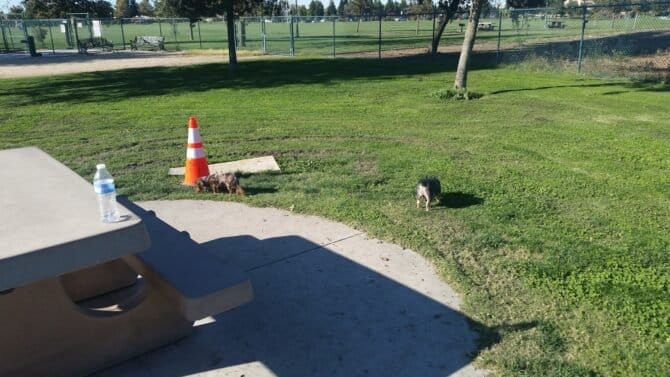 AC9h4npBeN a6 nKUR2iIciMX04bsEPloqum JNqVXwl2bh6E9xinXrffkSCt8C52YmLJqi0MocS4G4QWGJSIjwieLyHqkbfCZvKelUyaXJGiECFJpfN2jY6ciiaKHSUw8QHcO9eaU46w1600 h1000 k no