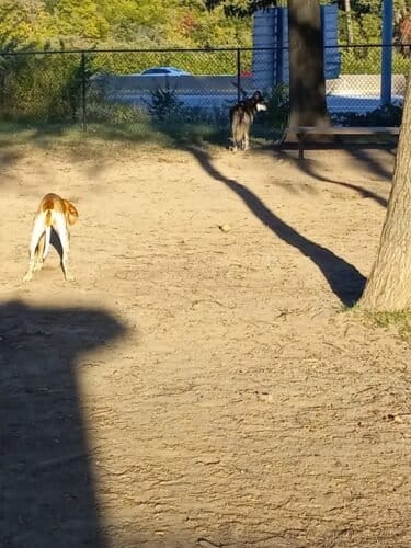 AC9h4npBiX6KZlGIFBmRnKfTASW97Tv6n4Qnx9M e8izc8ouCwQ2D0gLZg4NASazNNSSaYSTHLtw7ULgkRdSLdgM M80Iee0IvvHMxNBjKbwZtbgiEWHfZNuenvpGG PRIxKYgesStg5TAw1600 h1000 k no