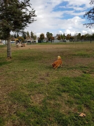 AC9h4npBqvH5sIX0VwwyLh1e6M84FzpAQQA9BVco0hSQaLQi QcDTXGw9wyMmKzG96K58eMnhqRd2iloRuiapu916f9DXrHzwo1mJeGR9IGMfbAaL99BZ4rNk3ZZNNT1z8VcltBoGDPWww1600 h1000 k no