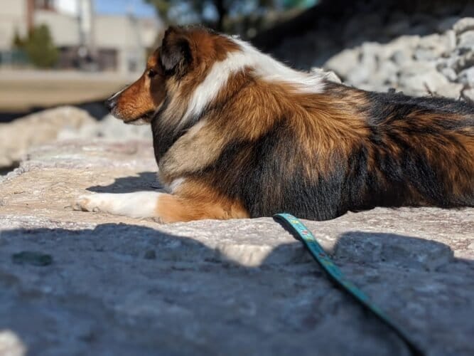 AC9h4npC4xjdE1QJqHmuOZkYGnzQ4LJ3IUzgUZlwK NVddcOmyc2gDhCKvwNq4WD A5smHf4dqIKUKh15i5VPJFw8Yecv3KI31OcKMIMfDoYNuUur2UWHXeO5sZ6s57WlGnW5bnSeYeRw1600 h1000 k no