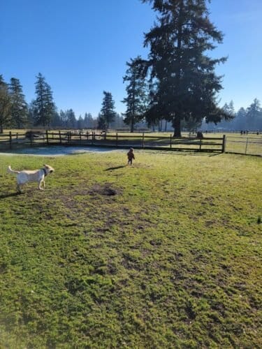 AC9h4npC8YcAXJY3nV1nWFJHiLZeGlJLajv7S igr0gk9AGT7qrF nWPrmsqsapW9H89mtwG2TTo074d07L5qIhCK3SJIquJX8Ptx1HHA1E9PVNkVfjOVDbPfuzujtLg6z7K4a7Z9RE9w1600 h1000 k no