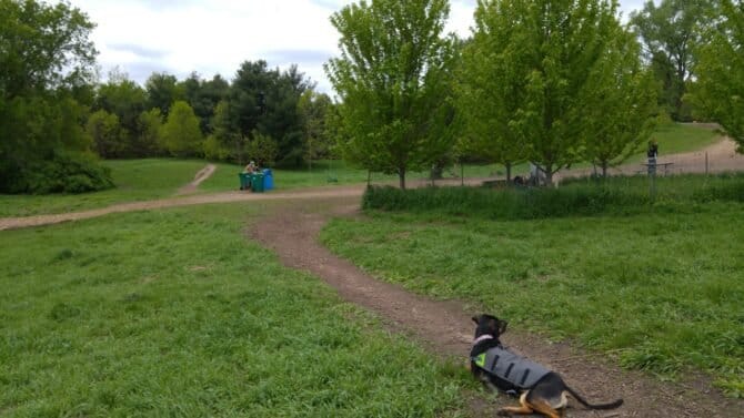 AC9h4npCDh8Vf5xhkyLfgMouhv4 nJRhhkvksy5Fv5yTXMITg33ZzLlDUkcwr6YCMHRfhY5Y3PJmDxQVT2 yxgiovpNHU T8PqcprzEhGIUw1600 h1000 k no