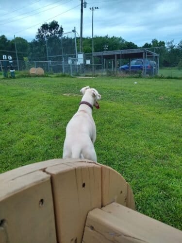 AC9h4npCJPbTVr5JNqjKdehgxpAJbGGnjY H 3CcAx0Tuv1YKj1fQN2TPi9mgofhan0iMumn2BpSS6dqR2d9WLazRWw8ACzElZsDoWfSNo5HImYdT1a6y7AMrXKYHCO3jDvL8N7tWwTuMAw1600 h1000 k no