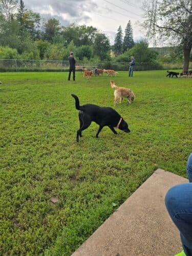 AC9h4npCWpobL5OFqzO8vXhNO9cBDWU9 uLkidYrfbVxqTfHACToMH5eyKMcqwNEv59fHwMg7eDwvmNIfoR1KRo59 lKkZZSAJsYi6o4EcZkC7lWqUhp779BMgtX64TduiUK4RlXSNc6w1600 h1000 k no