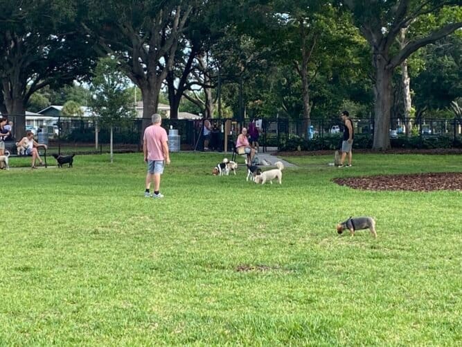 AC9h4npCYv1bmpOrGanOBz2NR1k379q6p76hIUDrIlFzB0grbTSZ0yPMZXvDWTEuDVxNrNA7dp5JzGTijsAWgLpaWA 8K8Bns63eVG5jW7 Py4r2wbcp BxdVRdCdeeQSUh 5KGEc98vKww1600 h1000 k no