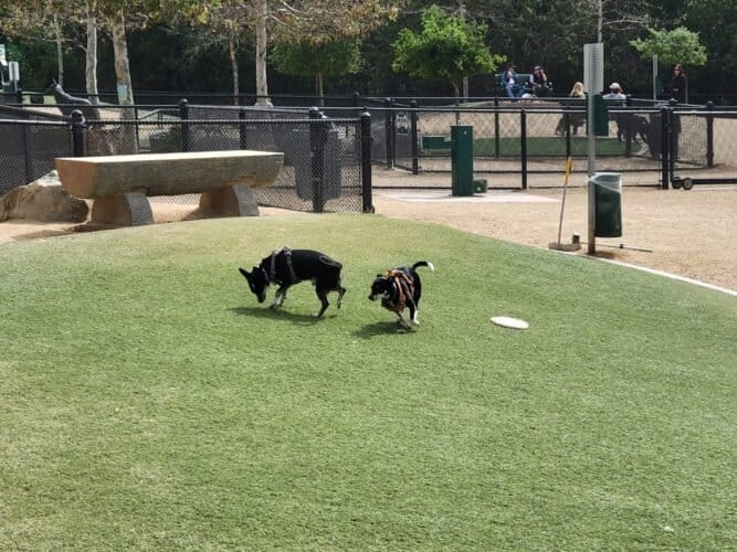 AC9h4npCerpSyDGtneZkbfNpBR6fjpEPSxSvR qjjPeYbZlfvxbdm 8roeTjlLqt4cqHM 3Wc4lXrhQJea Z7FvPXM5Ba2AuH8kbMNXHMsnbHqxy9 9kCSzvBXVckAYnuyFVwm7XT RPhww1600 h1000 k no