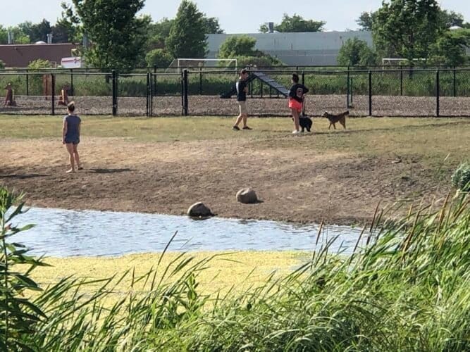 AC9h4npCiwH tkvnkTv36x Iez1Tk0i27vRW4Ncm4qNGQ 3OtVqFZSC6NUhzHJnvYEv8gqgHHdvP3gs9fbuidauPq9R7tIbyQD 5p170t m XD4yVgFZ2cZhX1KhzRNFpGFFmQWtPe13 ww1600 h1000 k no