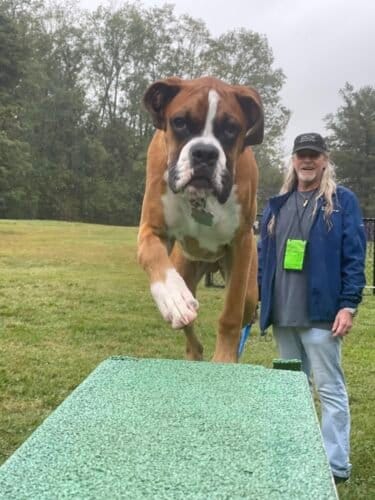 AC9h4npCxWKgr3R 6s11KKgMEJAki7OODAJcrsCnQk4TLmjc3 VVcelJssDp7dqHE0O5hsfoNHRGxS5jyQjTWX3UBNPOunN4fl06PsbR 1GJUdNoXT4Bl1df0a2LfSSL9kSQq58SnbIQjgw1600 h1000 k no