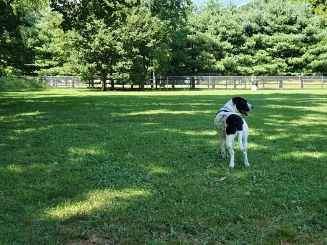 AC9h4npD2gKUD6Y5o9M1Gyvlmh0irOMIj956cs9cAoweoDOVAkpddOe7j WZ0BGf1dNb2rHdEhicpDrX2cAlC1oHnt6OfjPnzwa3x38VIO5Mla3aZgQNlmIk7bYoGDpW8 uDZX H41oVeAw1600 h1000 k no