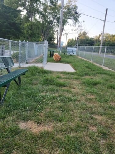 AC9h4npD9B7 wmwlxj5b2sx51hiymD RobSru5f0spjBTjq0dvLPxpKVAWO8vLKFbaTUFNquz8Xsf7TKVa2SVF nyYyT1U9DweGvK4TaVy CgksvMxvevfmSuWgXlKBRfm A3qKcSjAjPs2bSbDpw1600 h1000 k no