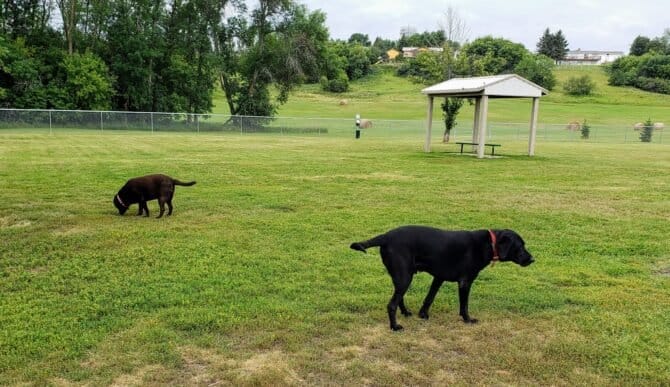 AC9h4npDGHdjgPQy7NFM781f XQ VSruG0yLl gn1iiMKGDd02Uxl6dsZUoZJfhnSywBtkWDkwAyMoDH1f7ml1zbSQqECXc1 NZ3J MiIsYg0DVtvVloAaWCrqLz yG5JMjtxzgjxEY4w1600 h1000 k no