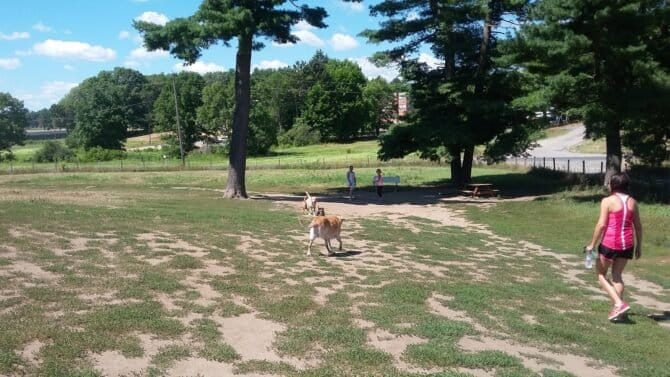 AC9h4npDNDg6Fh6XAuuju7wV5HV4 nNvWSiCWwtIEKR8ZibnSNFlqJ2jIsClsATcaTVpfZcVb4StAvdDGamxMkt4NYmLIBcnnDfQuGrzgII8jOk E7fOS2I2y5Zzc1A3HfhURETQDYbHsgw1600 h1000 k no