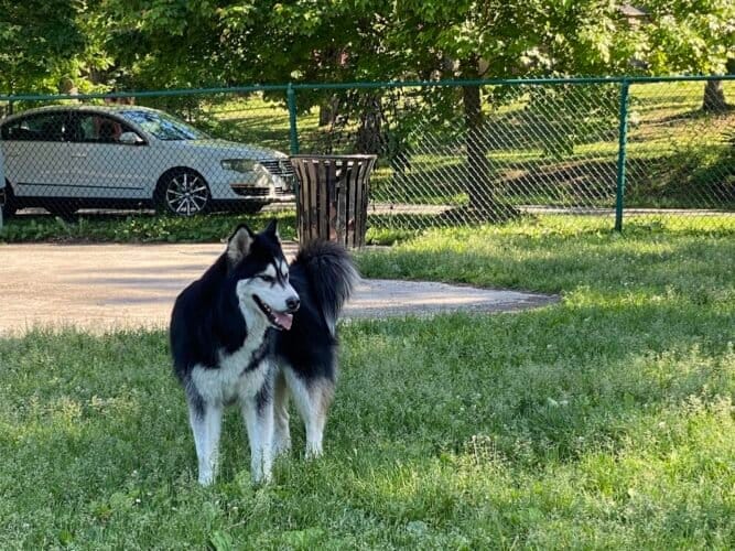 AC9h4npDixUK94nuSbNlyw0StINKdiGg54Es5awTYAUfcRflKv2bFiplDZM985pNYCx40IArO7KDD9IRShH9XL5R02GlpuE6vIHNYqWF0W7oj763FD1SuQvsADaDB8oo92K7pc9R4KQihgw1600 h1000 k no