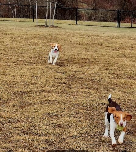 AC9h4npDlnae8JT mYwV0RY0S9HMOvtPVwXd83E7X9 mmNar6d3K1yDVNZsMZsNo zUpp7Ep1zXSFNvlBhMuZ1N0rcAerdDDdtA41x64VlRWx 51y Lk 3PuquuZHFublNn wBAgrIw1600 h1000 k no