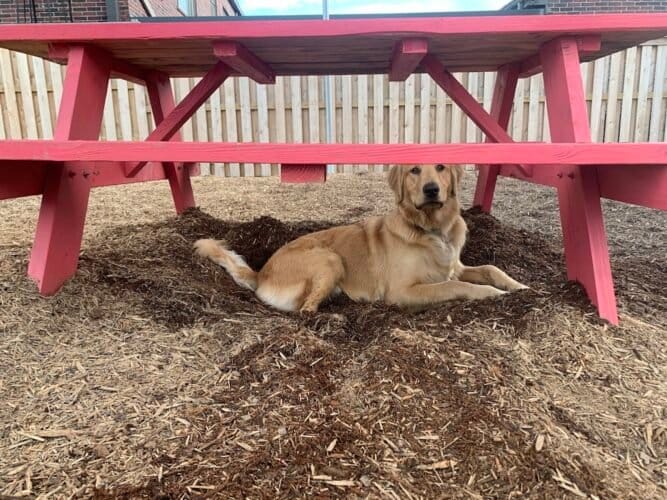 AC9h4npDo5FyDFH Hy  6NJZvMgKJr E0C Ded9KwBHyoBtKfRUPfoEuoa yrzOdShrbd7ghucfHaqrP6IqMe WwCiYcxG6kjK15cUCTspExGLFtOAaJOYxqUfjEYyYVdg gvIerCi3nw1600 h1000 k no