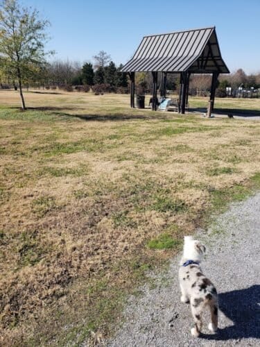 AC9h4npDoYdV 5YpRKATQtIMmKJF uJK92NJUgyBgTjwNNiR4CrGZFxyuWFArykq 0x2HRw0S4wXF10H9hxT6Gj3XbumyNt7X4RWNAt18Zlw5oLogjNE  bGRj4wQw5fnaBEpP7 H8i4w1600 h1000 k no