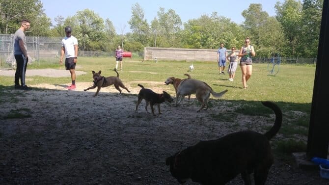 AC9h4npDqiqyqlVUh0BHb 9mojWJ5zHN9YkzCzNbD4OzKsrZRiHHLFOQn07f2el HkSLYj akXmJoTtX00K000kZK1p9FNJ34JKuMLw28IIyq6QvFyHNih9QVsgpECDOdbfd02ErNnOZdww1600 h1000 k no