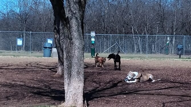 AC9h4npDtw9 xO ohFvzv5uRTJYgBucI5Oywp2hYvc1 kbFecCjaN2RitEPMoGzwXjbJlV9nDhkbhBphTDkWYS3PwWyqEwK9GlQfChNdBAw1600 h1000 k no