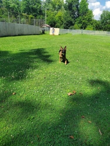 AC9h4npDvhraz IXYmhm85Hzsbl1uOdBYh2ynLeUlERVLzUI61Nq1oDqsOGgmcW6CwAy74OnzZnCPjc8NDtEBayLBOnEGX5Rsd3g  qpsi6vSrFFBA6x5FlT6oiq d 7RXRLVGgi7ec0w1600 h1000 k no