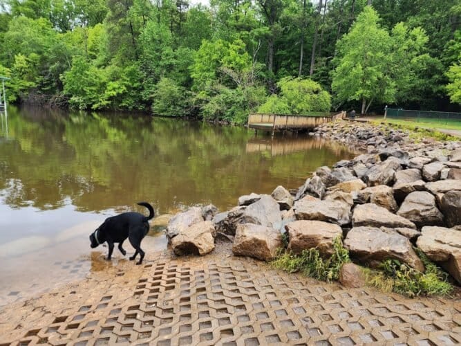 AC9h4npE2Hnr9Lw30XQqg2kvlbPTofnT2EmwzApPR0PnJbnBzSx4M0Qcm4soDI 70nvWHlY1DdBGIdPxR6CYis5GlDtAoiYLUn5JHA6X9ixP1szvsO9 jv yyEn20StNFlzhwajXUqww1600 h1000 k no