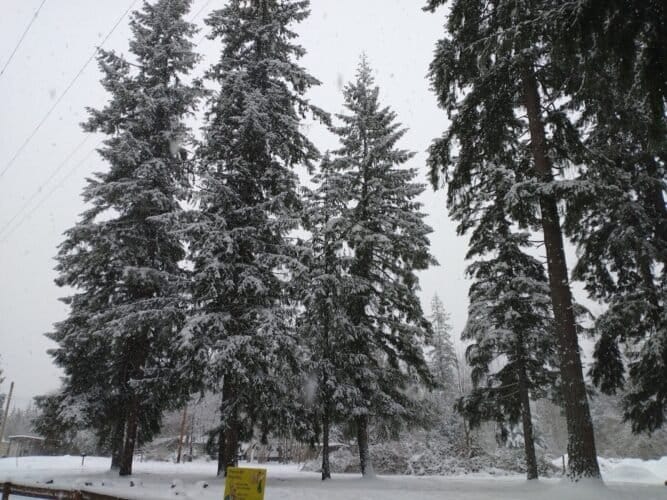 AC9h4npE3i5MPKoikKqITDj5o8wnwPns0rGylPZ TwRxA2yuHRU2jF8qCDKT5gA  LT gL9jdKDwdKcJDgU1ClBRINrmaaF zKaIHqSQphzDoNyRQ6J8POtzauQEYyQ6FAguTSAePEihZww1600 h1000 k no