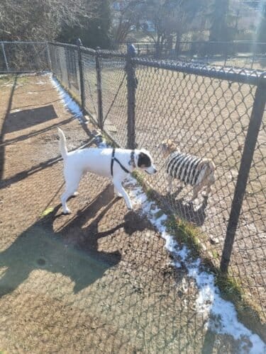 AC9h4npEBHxfzxqe tacTi6jHArnCn8vzj906uMFKNG5HJ XHB1ESOQCiRKHhfyKj2ehOZGW0kmSk5nr0rfiJwn l2agpjN3thdjSqYTXwiSA9N0k6pPqOfOEhbfnAKqbUPTiYn01SUmw1600 h1000 k no