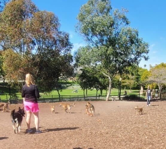 AC9h4npEP qDsLrnt4UPqkLThvHSRS3F8O8isxaTHIjhLnQmDKU HqG aBkWys3XlvqkTHdalOCH 6CFl39E0rZzNWiM6LfNCtaVrP06KD9Wnd9GDdBQwYV6VKW6Z0Tx2Yzmhg glc Mw1600 h1000 k no