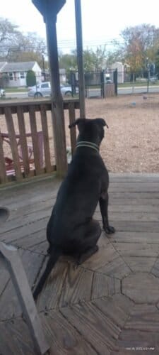 AC9h4npEeZCtuiH6amjU3wuOH3hvXXH4QM2SfcfNzRBEpnhuG3V5msa2FOtaIkNp2pdlpbeKLCapNniFJYhicJ6SP4jOKftbFYWb34 xaVol4 mjYno Gx xYQN DRvT2XUjqL yg2A8bww1600 h1000 k no