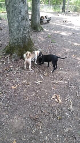 AC9h4npEeruX 3Mg13ix4ijtEbFemO FeQiL7Ge7dkdu Og0zMTMFmtv dd7MP8KJehEyfvWYByH5ODBxfCKqK4ngiTfkzWrjIlFgWEz xqjd8q8CeuQhsJEz4e0i6Jw6 dsxNQfXRWe6ww1600 h1000 k no