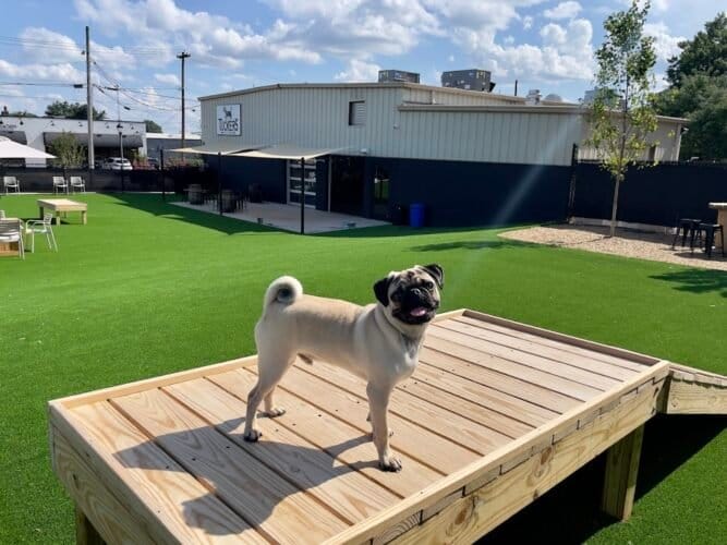 AC9h4npEfdhrYypeU3ecYV4KcYzbhYl0ldAspMlM1mHdYiVo2oF5ITj5ShpR5i5A0i9E NavubMB8bR2bFZ1qqTdmpiY OEgW23kNcfN3HXOq3j9XBFMpavdvh1EsMjSyGz9nP40BAzUw1600 h1000 k no