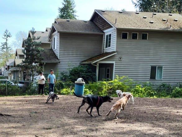 AC9h4npEgYWrC6DzRqIJmrDemCZqoWtC 5DqMgBMMI2JLluVFyEvyDTSdo9JHVik7sNwsmOfBbVP0KiN 7nYRZQwnXv2vlnXij264CMFOv1QyYJ2VFL10GJiBSntMxs ZALYDH0pkJ yw1600 h1000 k no