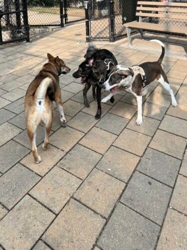 AC9h4npEhO51XloeCdmUW3xEqzx47q8zgyWdIEpn1wvnyDAB4IMWqJrDrNzFqDjTE8XzSMC Jl7tl6OBOc3V9nHFLnL2OUBUcpcQrsfXJ12OIGndmqqtjSGe43mrqndH DF9Pqjb7p7qw1600 h1000 k no