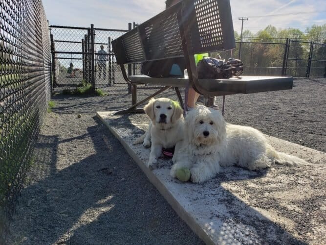 AC9h4npEnPohqbMIeEJu ct jjpqwYKo4nxkGJhjteTUCch6FeLRbebmJLlaq0Mbzt4UpMmZvKqcV741yvehwEYh8BZghCLJRxQ3zwHIDW2Emg1kUbCJJQtVfQoRAhE7 ijNl9yopa60w1600 h1000 k no