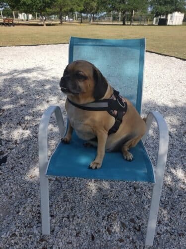 AC9h4npEoyczLU7UOWgblwRVzAliqXeUAe3SBPvgfxFQiGClwsCsLnCf 1474SNKWrUvQThQ7X8xuPFksiKIBooeenkJ1qJfinjVgCO2VZTK EhVD2REbju20RfE rCMFdm3gK VDBW0w1600 h1000 k no