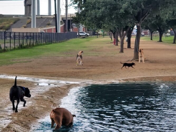 AC9h4npEqvSTgKjeUQLR16UIzSrZ8y0Ba1x5uhjBSSQMJ RHF9Wvh7 BCtsfHPWlpfe5pKSgBjJ1iHxh45u0AUHPz Ru4qW3r6pQsIgCLF4w1600 h1000 k no