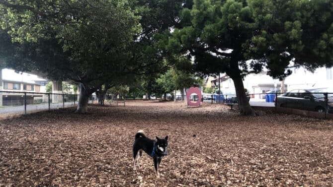 AC9h4npErpgfvb1QEuCQ6jrrq 3TmS U6WPSW9cfHw2f47ZsZapVT56ZOQ ppTrwjPE8yKeg SPDmS5lgtklC82n45uzAKZng0XGeEG0nzYo  pav63UGfB9cGsluiW3jK8n5RVd J1Vw1600 h1000 k no