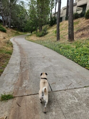 AC9h4npEvhRxYrCqtw5iyjEMuBvAa 3alFpmegXh N0CegDWSD4Cb9xzrppIKoEImeuYazxajopX2PvVlK1S3uNvqgg8fN3cIQJ6sdJ58jC34DWcuTXABb4jDddeak7eQ024tRQipZG4Tgw1600 h1000 k no