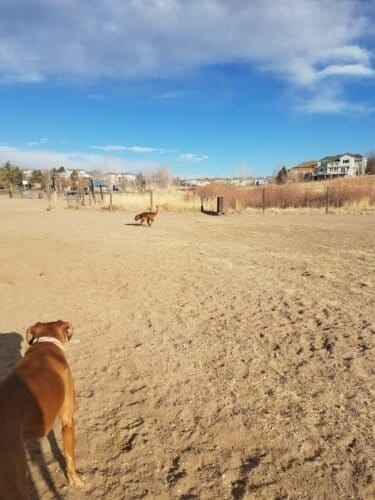 AC9h4npF Vyl17Gh6jSkP1QrBWCGHk GIgzL5V7a8I1rwBJPpiUWDfObERlRQE RIJ5OvHYMCW wm19R1usuLNjsmEtina973E8jLr6RxlJmekuoN 0nkTSoDb4DXid yC899qKXFwYw1600 h1000 k no