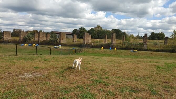 AC9h4npF4NU8YaYC l5mTVZQ5iqu  AyfX3MEMOxf3Keq3Q 9OzpcRiiM0mCr1p7CVD6i8TqPepCUu2nH1ECp8BoWit9uqmargSrjFAdqWStUICG0TlZO1QOLLnWnKUiPDYVYm7 dQkaw1600 h1000 k no