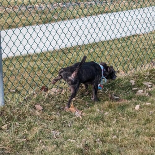 AC9h4npF6nNG0 QTOmTjUwvHh5UlstHkPTwm7WRZcREs1Bf c53IsdXQuZo5gpoON L05L3uAgcKRVqdKhS88vL0ZKEsVm5O1bIID6BMU v21cRUaBAmspMUcGJ UnRKy2 vj8cf13bsw1600 h1000 k no