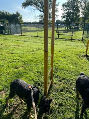 AC9h4npFG8 nycGDeuFsaTclg40X8MXFLWH53SHts4pdlPl 8LhckDCRyLDiYJvyVNRR1Do0ISMiVpsGSTK5A sKofWzF bX9tbkPllfBRYw1600 h1000 k no