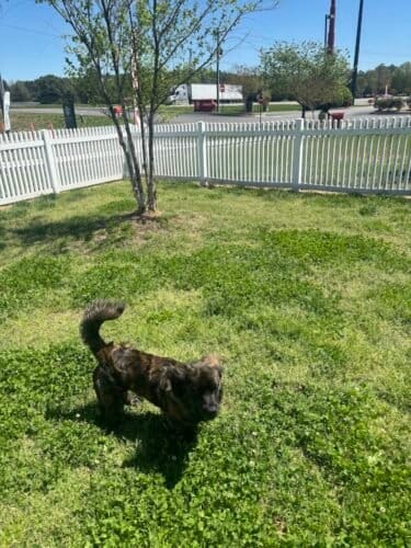 AC9h4npFUp5n06oqxWw9IgLPOKStt hYZSJtbJcnTBappAp xQ w2L0iLmefnrwMUQroh3SIA2gWLiFaHFY2yFkfU8lZPrw7ZzpdUXGmdQgCXb2QOF3atZ1K9ofTztvyfbWvNJSfH hyw1600 h1000 k no