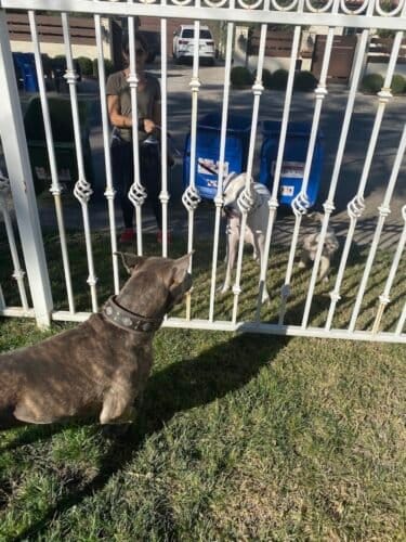 AC9h4npFi52HRCnBorB4 fRr RbzitDfZrUdVCYs3Yluc sD4OaDs4JtrqtsC4x4oXvEuqCvCGFccKLZb0XWltfUYAfnx9iGUlUap2ykzyqEzwTa hRKTeAC DPgCmq00ViROPlxhi0w1600 h1000 k no