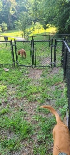 AC9h4npFofsR1QVR3grTo0F G vdAGqJu0s9SQV2IJJwxMYmHJiRkFyu97LCDQIxRwsG2pBoVxlLNUnDIvePxecxl4zVXODI6kHa2jTBbAw1600 h1000 k no