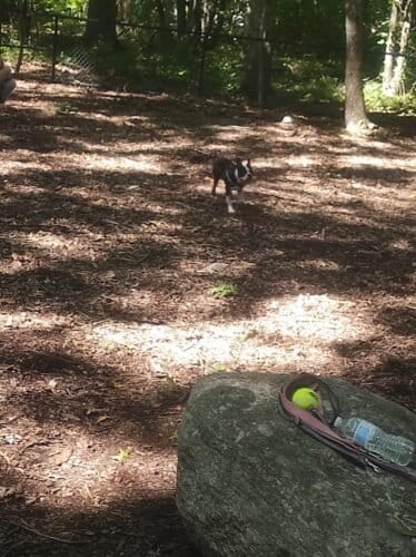 AC9h4npFqOah5HVOvBd7wQtjBQbngNuh19lRGzSuhtVhKc pPT3TaviX3tTzuwwdfpi3zFnBlkurmu50dUSx054 CFqAFIIAeo SI5 N3P MVmF4Rx5abwNi8jQWq  2HaEaMDaLFlXqw1600 h1000 k no