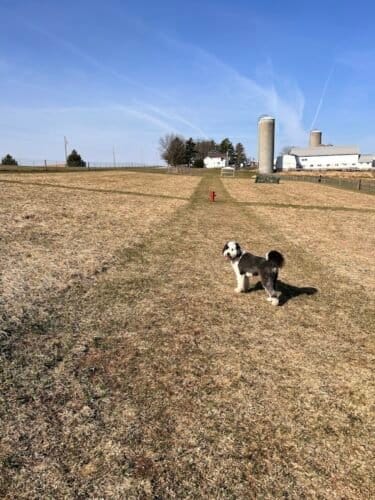 AC9h4npFqrpc 7JMFgVy  4sEaT4yN0lQbZSQ2 8KScNwFiNPKr5HpsOduoQZ0t DHvi9eoW3HdOEVecQ1pR3NVTqFxzjPMw0Ag7O8 w1600 h1000 k no