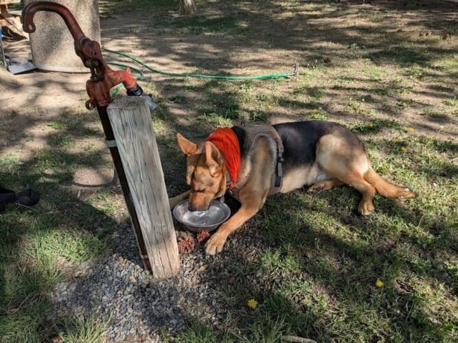 AC9h4npFtNVTNGfXG7GbWcuSfCfAjj7qeAz54iPBRwxCC LGFmaaNorI0 svMmNf5b7DLEXN5hIfrGxrztScDisAyD0xp8VxP3n1YGeSnpjkyyeQLNNKdQM3FZSOn2Ny6p47AXOEZOXcydhAmpHFw1600 h1000 k no