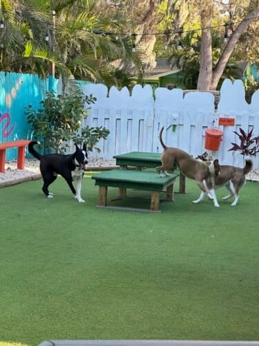 AC9h4npFvt1AbqOcWtuHzSWuWCjfzpzNubU7270hptKpNrA30SvrL 0ef5cBKGbfpnO2AWRZxUGUWlbpc5Kv1lTkvyHSfM04A7tIvnV37YOpX qjE6uqf2BlfR1loEf2ceSQsoTWyl91w1600 h1000 k no