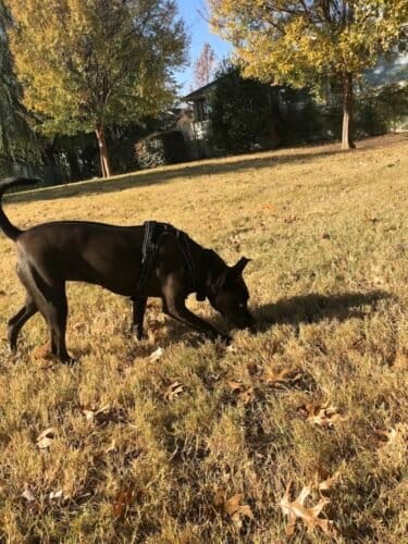 AC9h4npG iHqs1y17VAMOJ1X7JQNPBWMOKQ7S91CnHXtKkuOs4jRoFycjhMV60R5LWmFRXZRioUehWF172dYCp40Kerfwfi64H19qaNdDAw1600 h1000 k no